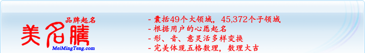 49個(gè)大領(lǐng)域，45,372個(gè)子領(lǐng)域；根據(jù)用戶(hù)的心愿起名；形，音，意靈活變換；完美體現(xiàn)五格數(shù)理