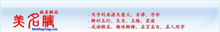 用字的來源及意義、音律、字形；五行、生肖、五格、星座；成語釋名、趣味解釋、名言名句、名人用字