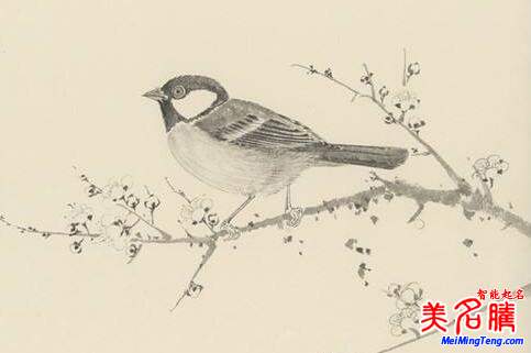 什么樣的詩經才最適合取名