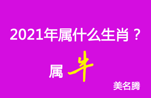 2021年屬什么生肖？2021年屬牛