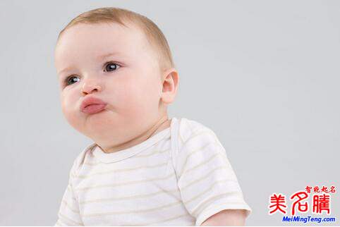 楊姓起名，楊姓屬狗男寶寶起名大全