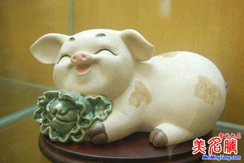 劉姓寶寶屬豬如何起名，劉姓寶寶起名