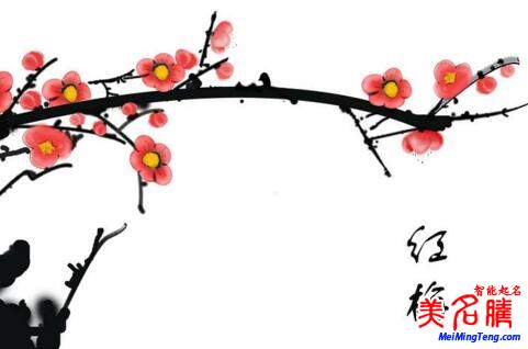2018梅姓寶寶最詩意、最不凡的名字大全